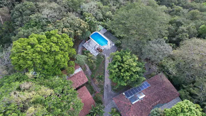 Forest canopy and solar panels seen from a drone.