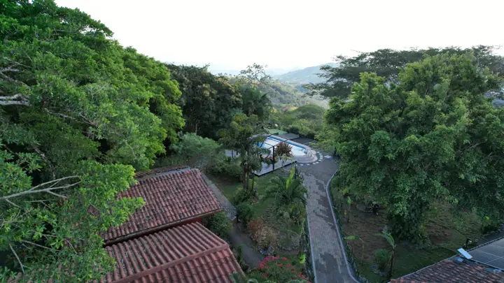 A stone path runs through the forest of the site towards the mountains; a solar panel shows on a roof in the corner.